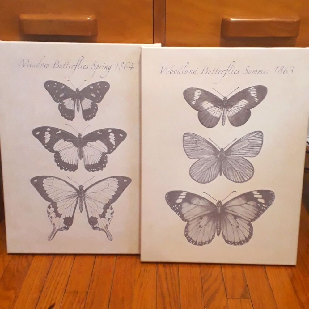 2 Butterflies Frameless Printed Canvas Wall Art